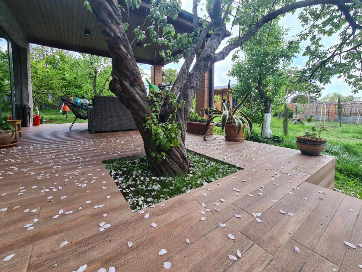 Savanna Guest House Dedoplis Tskaro 외부 사진